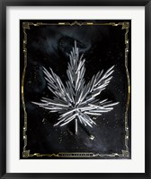 Framed Carpe Cannabis