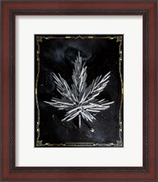 Framed Carpe Cannabis