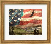 Framed Flag