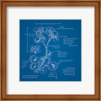 Framed 'Blueprints I' border=