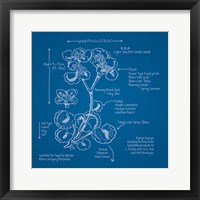 Framed Blueprints I