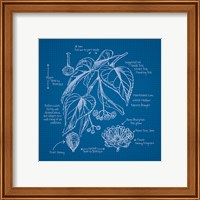 Framed 'Blueprints II' border=