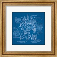 Framed 'Blueprints III' border=