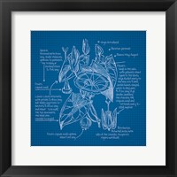 Framed 'Blueprints III' border=