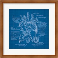 Framed 'Blueprints III' border=