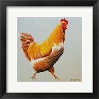 Framed Blonde Chicken