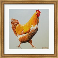 Framed Blonde Chicken