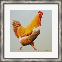 Framed Blonde Chicken