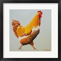 Framed Blonde Chicken