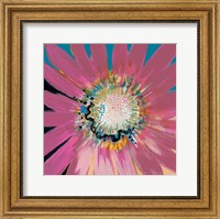 Framed Sunshine Flower III