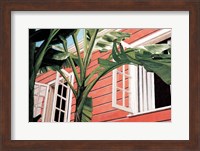 Framed Tropical Breeze