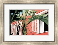 Framed Tropical Breeze