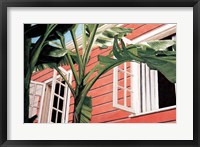 Framed Tropical Breeze