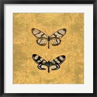 Framed Pair of Butterflies on Gold