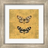 Framed Pair of Butterflies on Gold