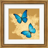 Framed 'Cerulean Butterfly I' border=