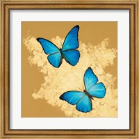 Framed Cerulean Butterfly I
