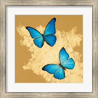 Framed Cerulean Butterfly I