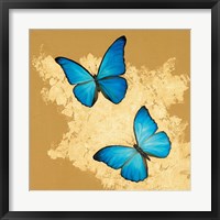 Framed Cerulean Butterfly I