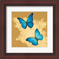 Framed Cerulean Butterfly I