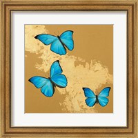Framed 'Cerulean Butterfly II' border=