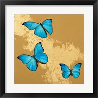 Framed 'Cerulean Butterfly II' border=