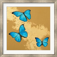 Framed Cerulean Butterfly II