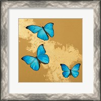 Framed Cerulean Butterfly II