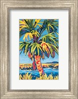 Framed Pine Island Palm