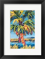 Framed Pine Island Palm