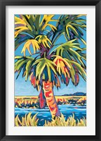 Framed Pine Island Palm