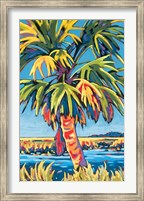 Framed Pine Island Palm