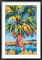 Framed Pine Island Palm