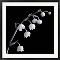 Framed Spring Bells II