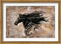 Framed Black Beauty