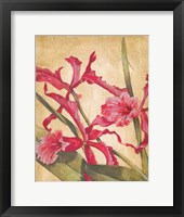 Framed Hawaiian Tropics I