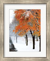 Framed SnowFall III