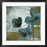 Framed Cerulean Poppies II