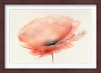 Framed Chiffon Poppy