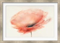 Framed Chiffon Poppy