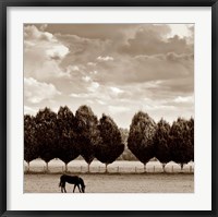 Framed Grazing