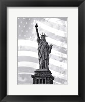 Framed Liberty Flag