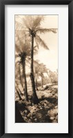 Framed Equatorial Breeze I