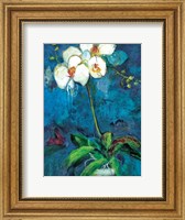Framed Phalaenopsis I