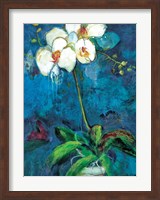 Framed Phalaenopsis I