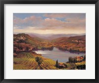 Framed Vineyard View I