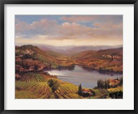 Framed Vineyard View I