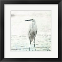 Framed Beach Heron