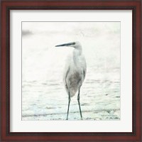Framed Beach Heron