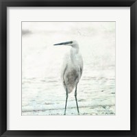 Framed Beach Heron